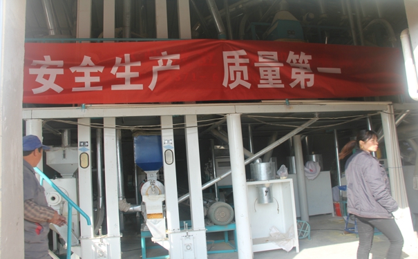 玉米糝子加工設(shè)備